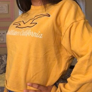 yellow cropped crew neck sweater hollister logo